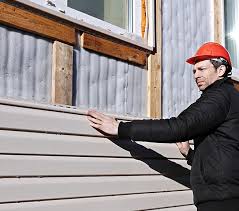 Best Siding for Commercial Buildings  in , MN